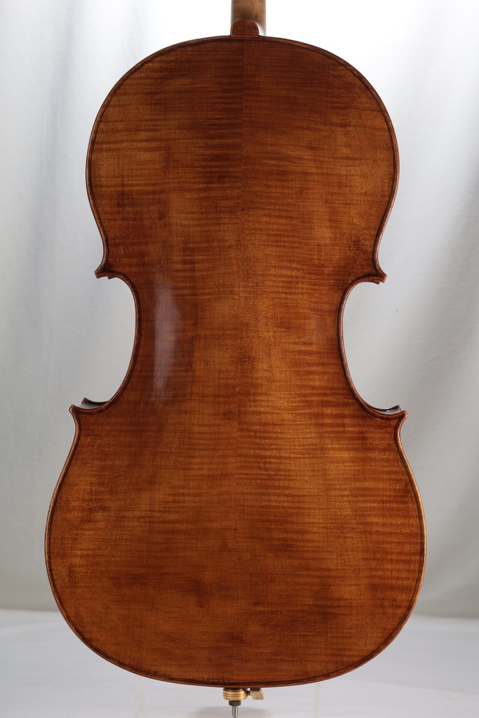Cello by Samuel A. Payton, Philadelphia, 2010-4/4