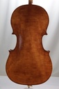 Cello by Samuel A. Payton, Philadelphia, 2010-4/4