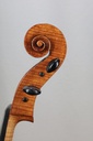 Cello by Samuel A. Payton, Philadelphia, 2010-4/4