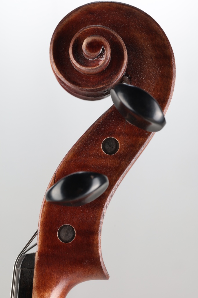 Vivo Zetoni 200 Model Viola, 2021-15"