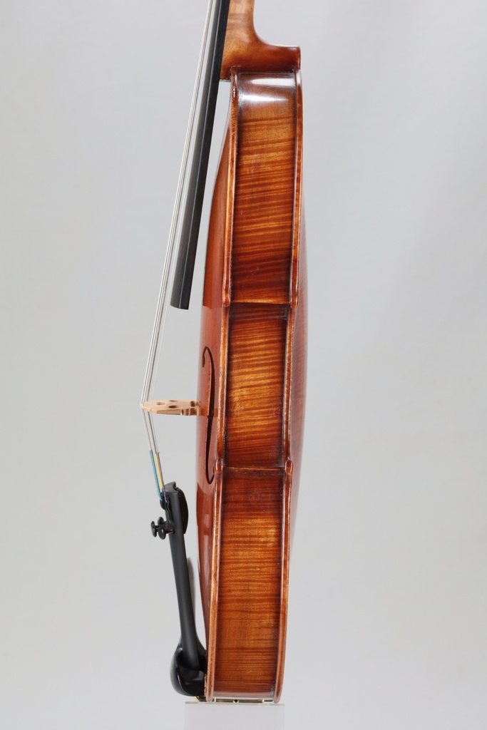 Camillo Callegari Violin, 2014- 3/4