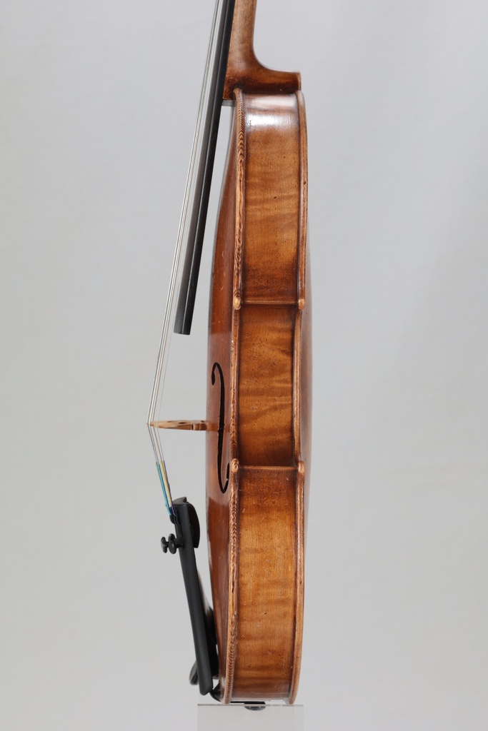 Salvatore Callegari Violin-1/2