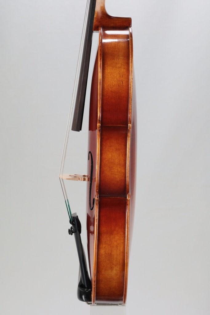Bianca Papp Viola 16"