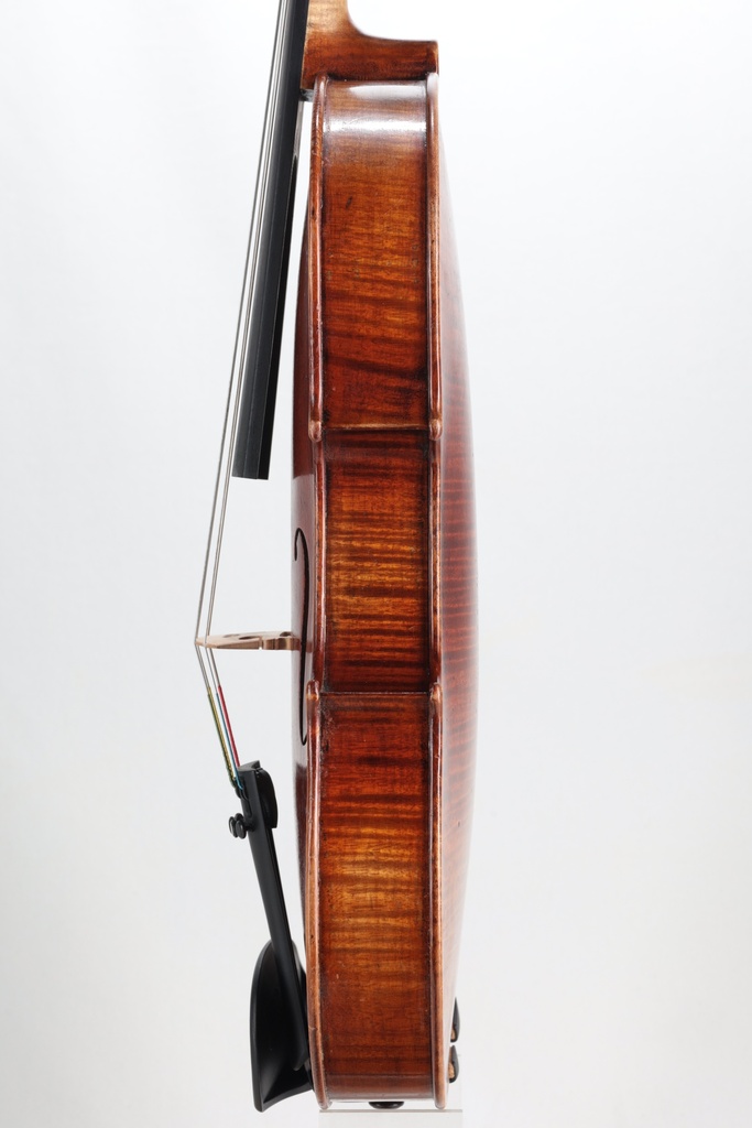 Modelo Italiano* Viola, Zetoni Model, 2016-15"