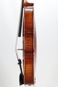 Modelo Italiano* Viola, Zetoni Model, 2016-15"