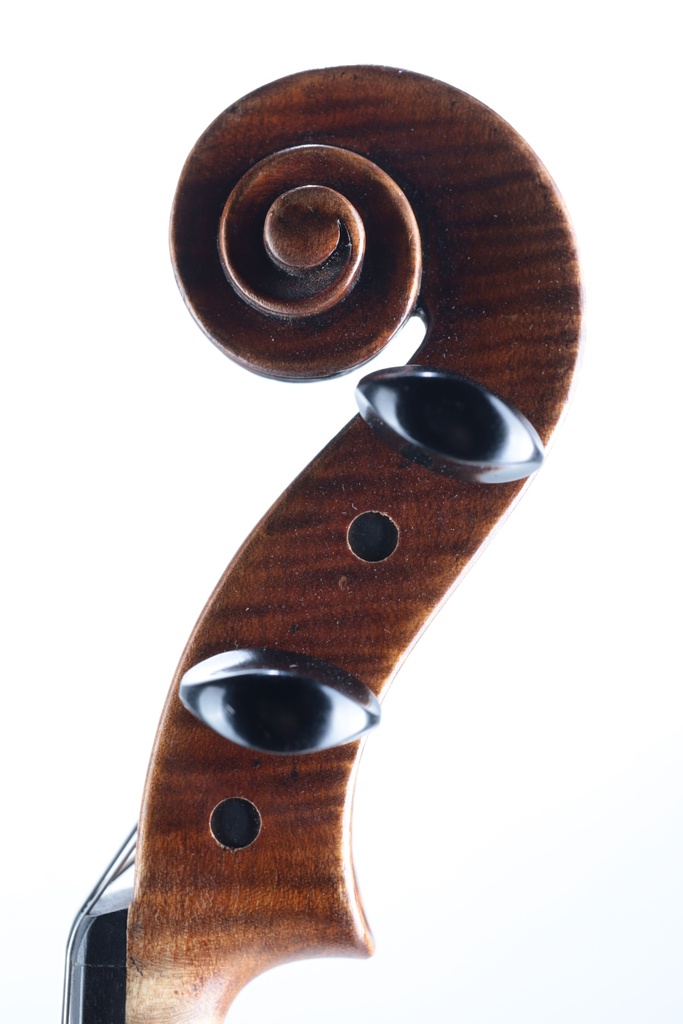 Modelo Italiano* Viola, Zetoni Model, 2016-15"