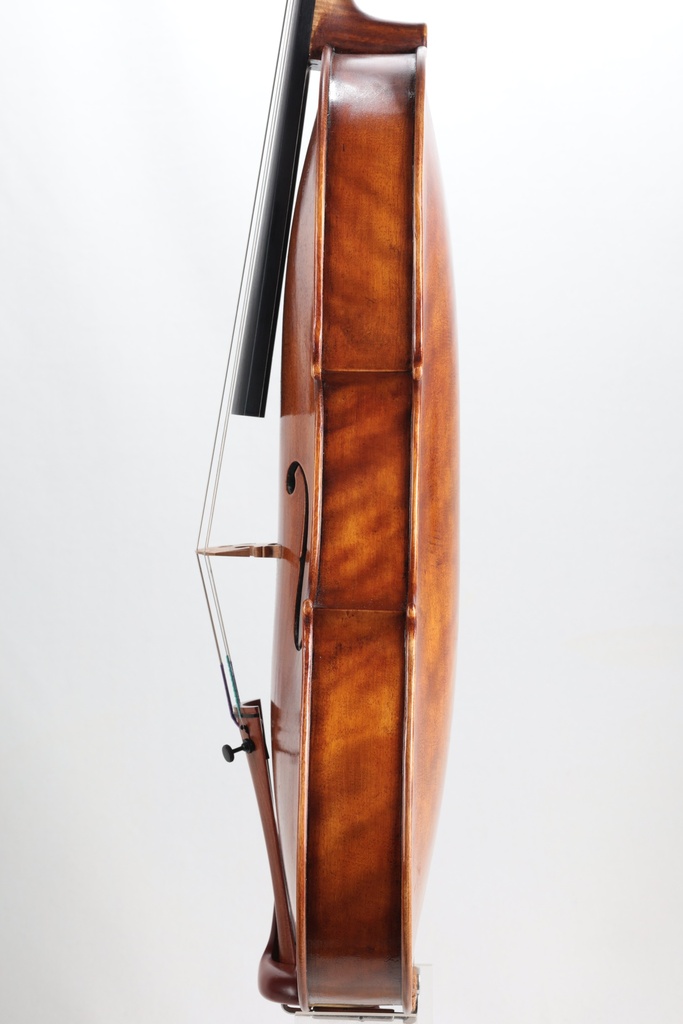 Viola by Samuel A Payton, New York, 2021-16 1/4"