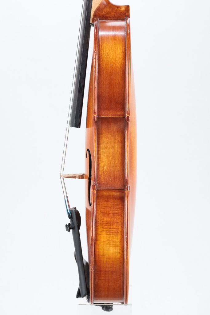 Violin Labeled Race Orchestral Strings, 2011-1/4