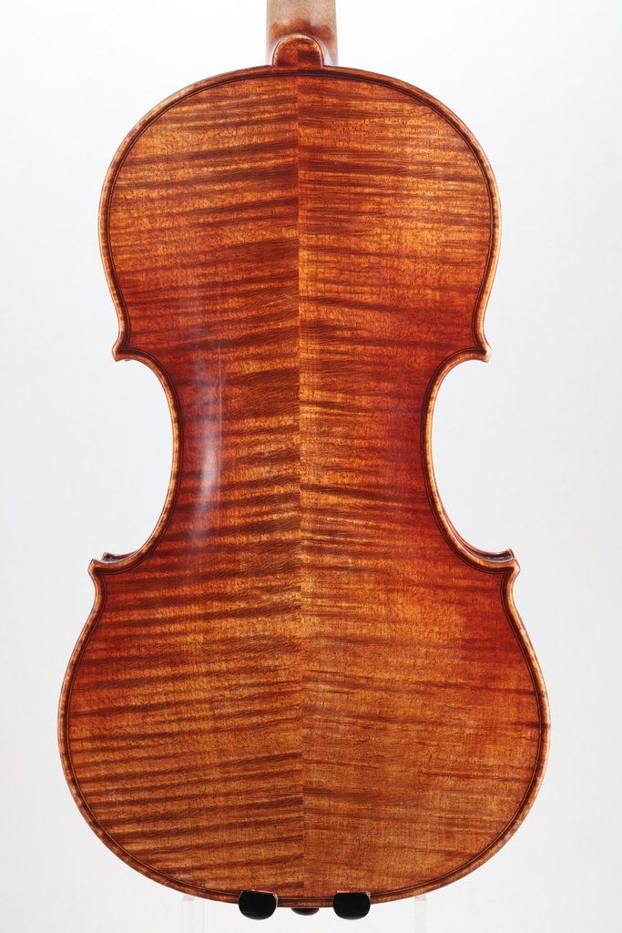 Sandro Luciano Violin, 2019- 4/4