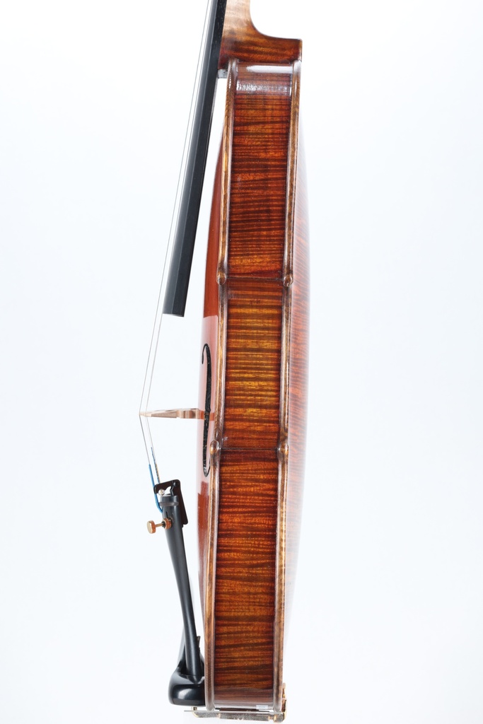 Paolo Lorenzo Violin, 2025-4/4  