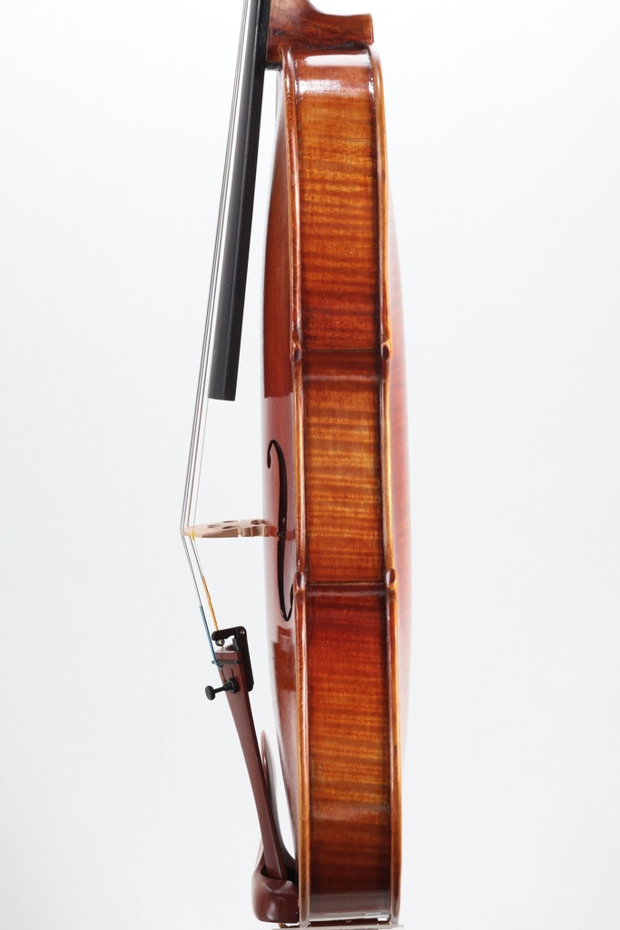 Peter Kauffman Violin, 2024-4/4