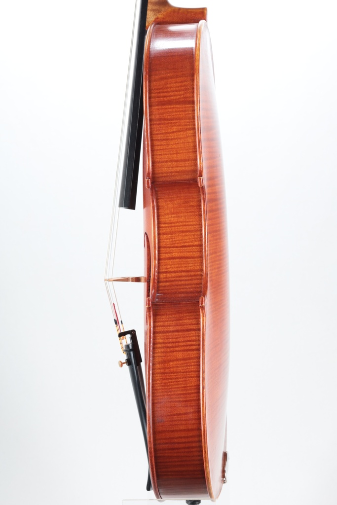 Viola by Brian T. Derber, Wisconsin, 1995, no. 42- 16 1/4"