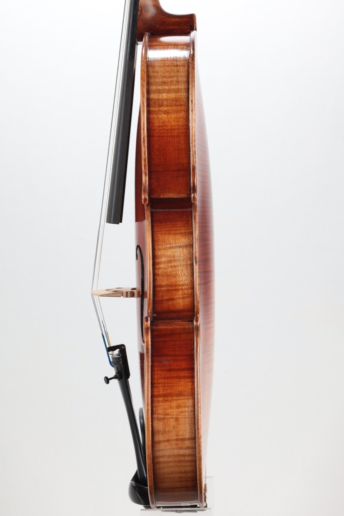 Paolo Lorenzo Violin, 2024-4/4