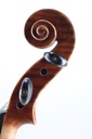 Paolo Lorenzo Violin, 2024-4/4