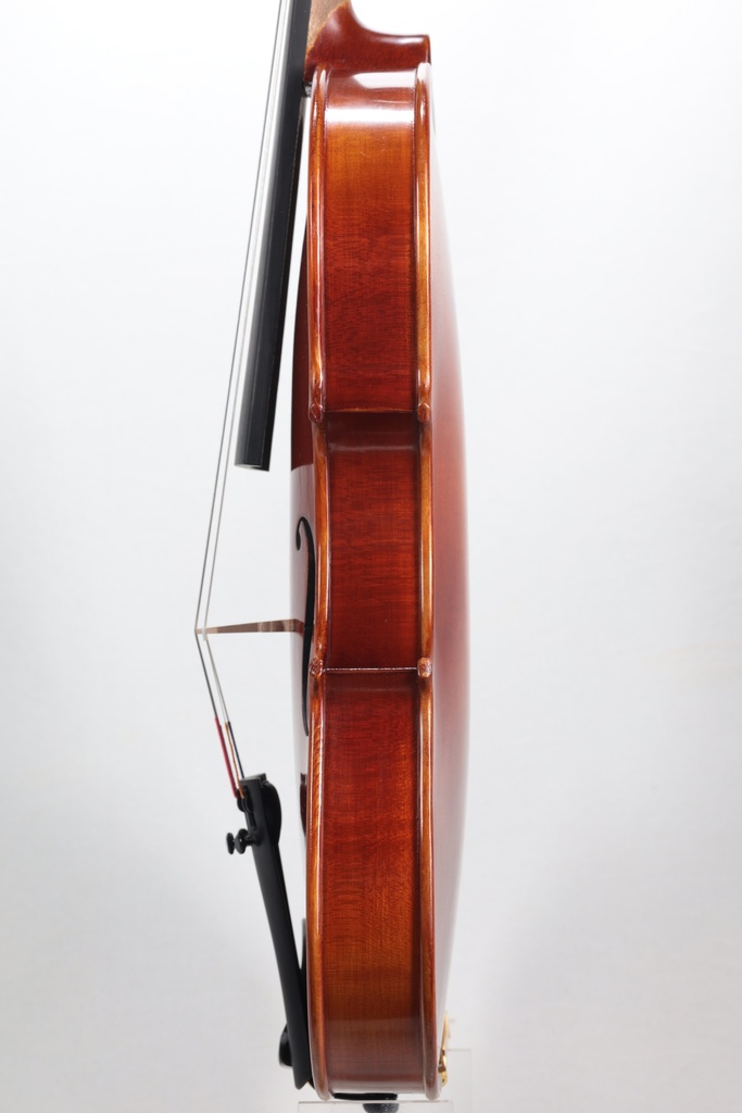 Gewa Sonata Europa Violin, Made in Europe, 4/4