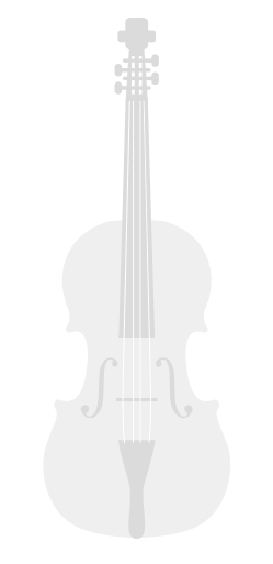 Perpetual Violin D String