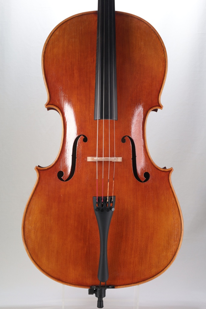 Novizio Advanced Student Cello Model 521, 2020- 4/4