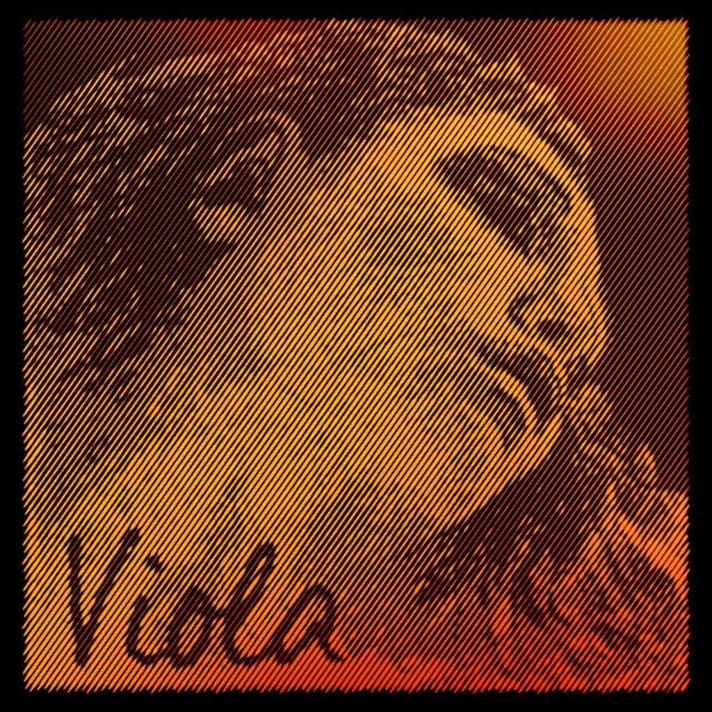Evah Pirazzi Gold Viola D String, Silver, 15" - 16.5"