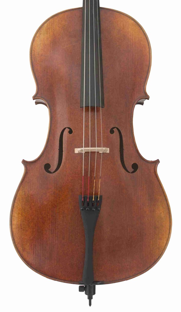 Novizio Advanced Student Cello Model 521 - 2020