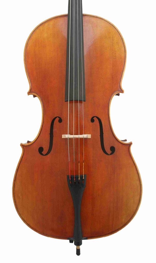 Novizio Advanced Student Cello Model 521