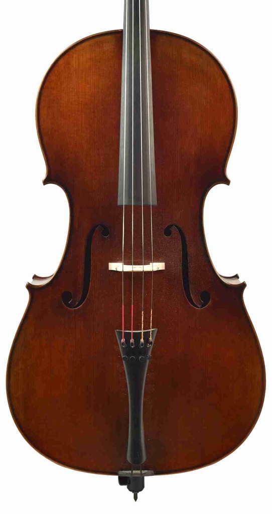 Y. Chen Cello Strad Model 755, 2019