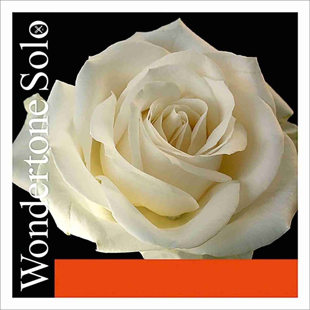 Wondertone Solo Violin A String, Aluminum , 4/4 Size