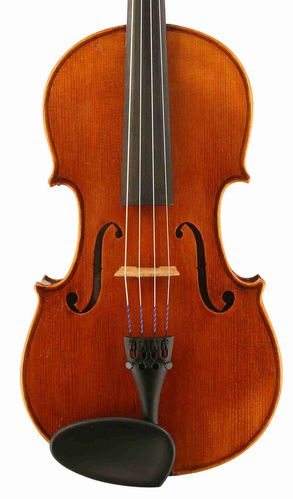 15.5" Caprice Viola