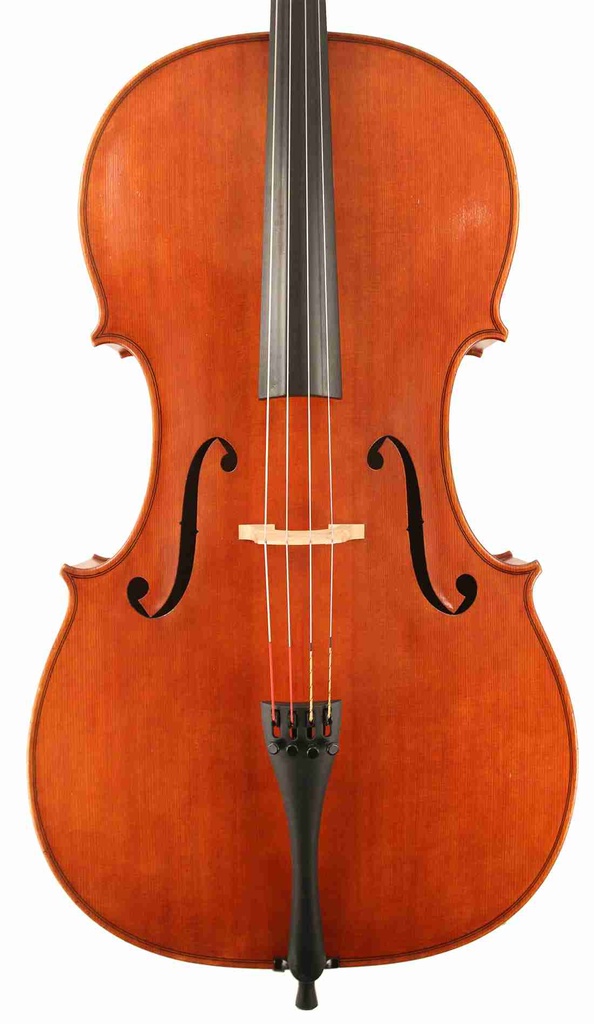 Kurt Brychta Cello, 1962, bearing the maker's label