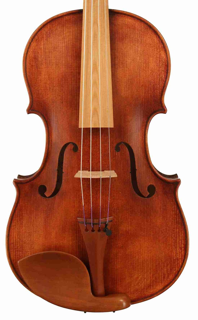 V. Richelieu Viola - 15 1/2"