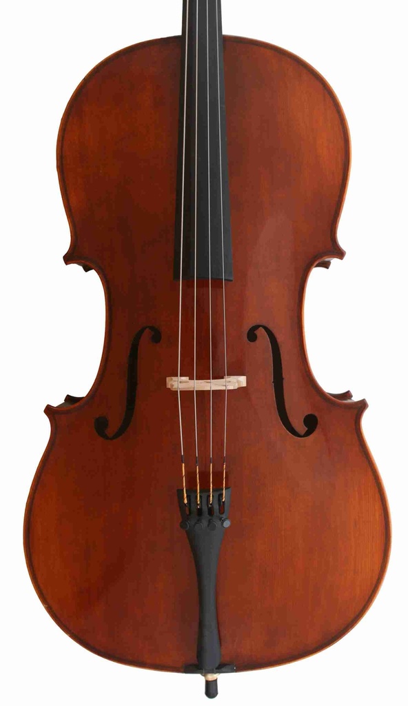 Eastman 315 Eurowood Cello, 3/4 Size