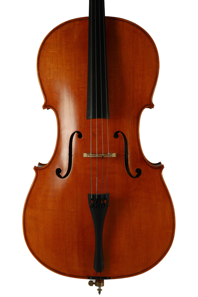 Vintage Terzetto Cello - 2014