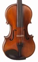 Camillo Callegari Viola - 15"