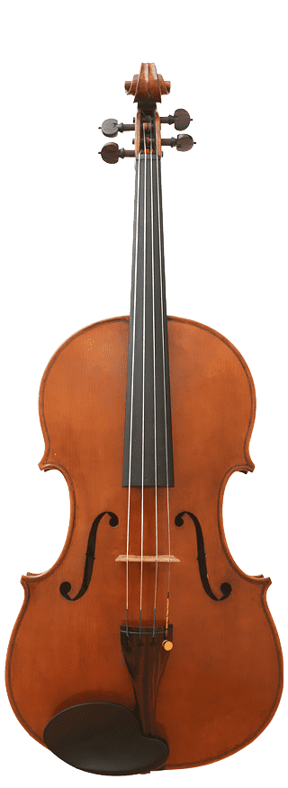 Advanced Viola Rental