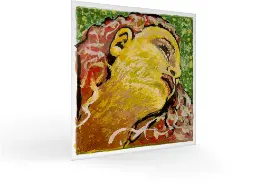 [1EPNVE] Evah Pirazzi Neo Violin E string, Gold Plated, Medium Gauge, 4/4 Size