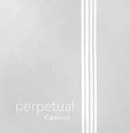 [1pervg] Perpetual Violin G String