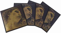 Evah Pirazzi Gold Violin Set w/ Silver G