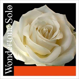 [1WVG] Wondertone Solo Violin G String, Silver, 4/4 Size